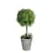 17" Green Artificial Boxwood Topiary in Distressed Paper Mache Pot